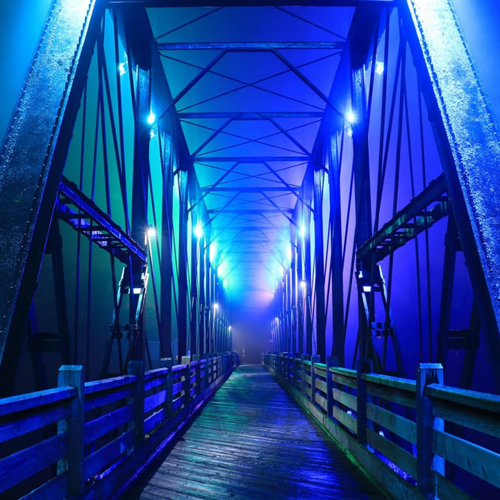 Lighting up the Bridge