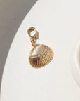 Shell Charm