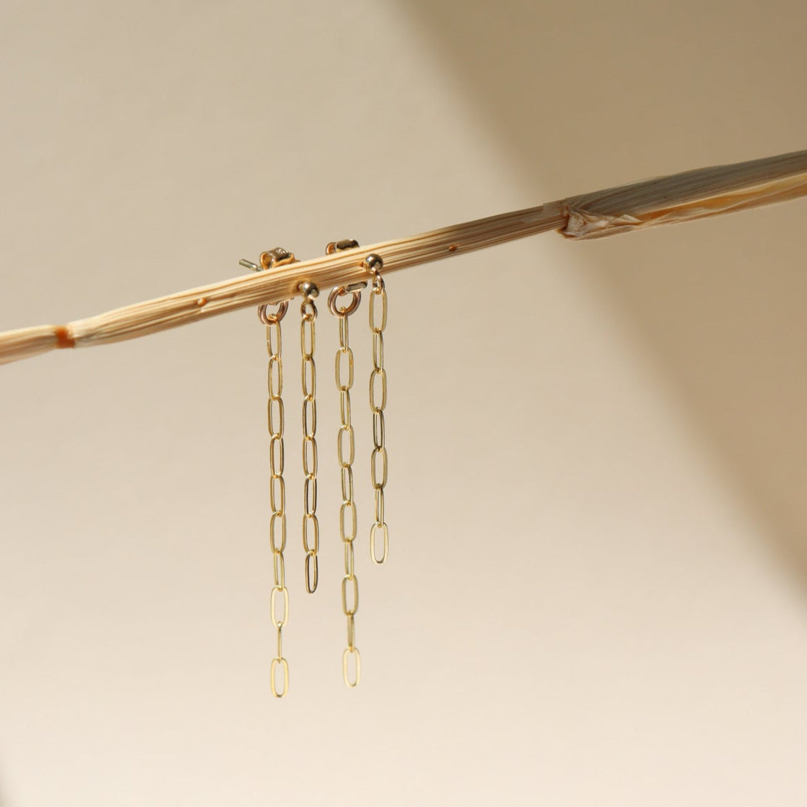 A 14k gold fill small paper clip chain, dropped from a small gold ball stud, the earrings are displayed on a cream backdrop in the sunlight 