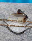 14k gold fill gigi bracelet laid on a sea shell in the sunlight. 